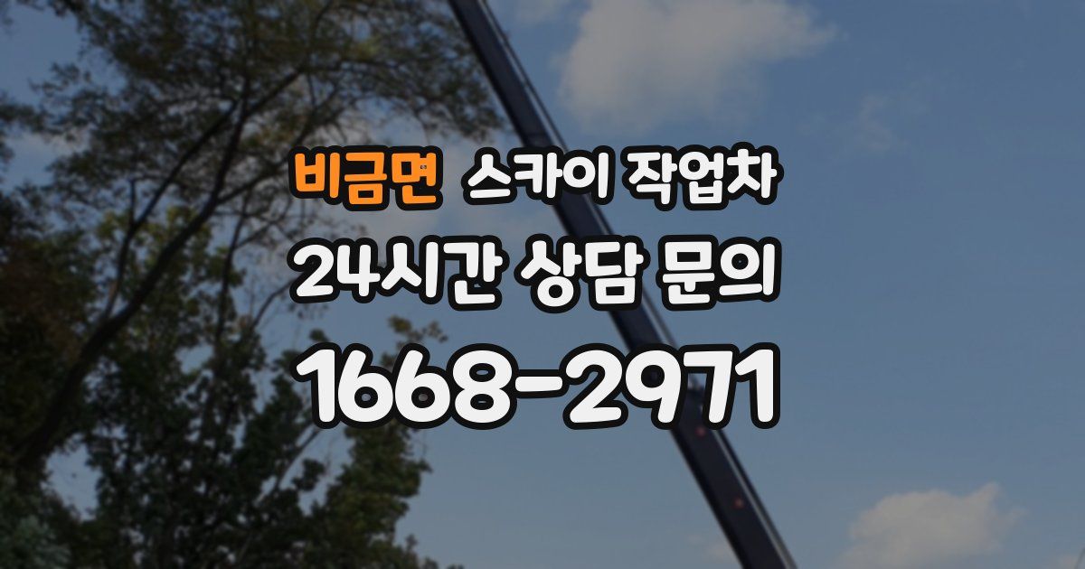 비금면 스카이 작업차