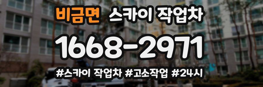 비금면 스카이 작업차