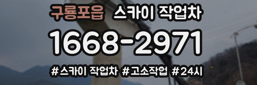 구룡포읍 스카이 작업차