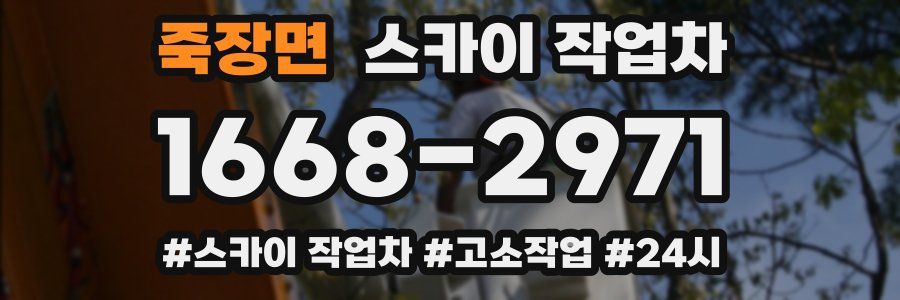 죽장면 스카이 작업차