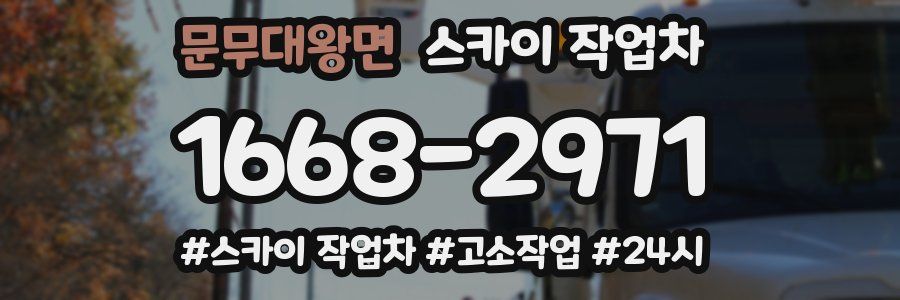 문무대왕면 스카이 작업차