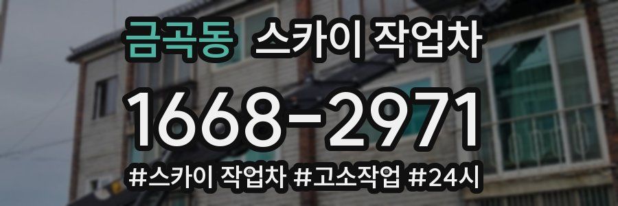 금곡동 스카이 작업차