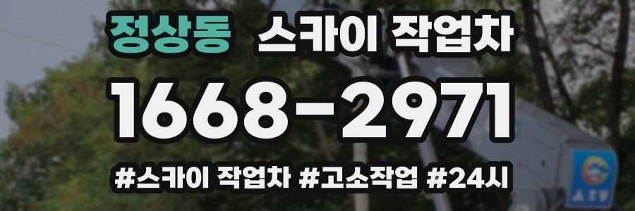 정상동 스카이 작업차