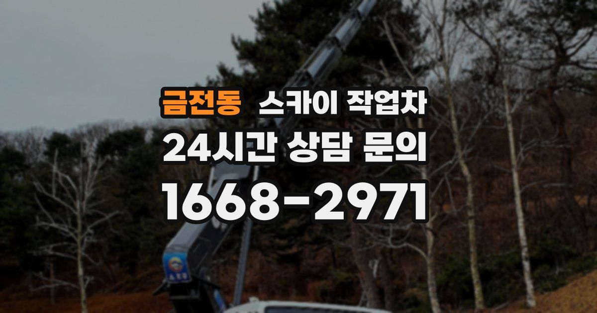 금전동 스카이 작업차