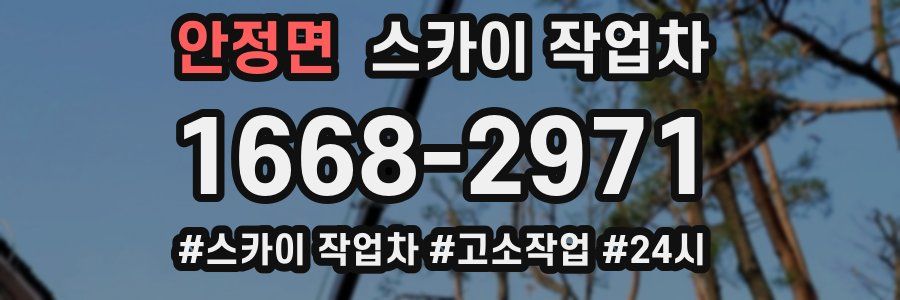 안정면 스카이 작업차