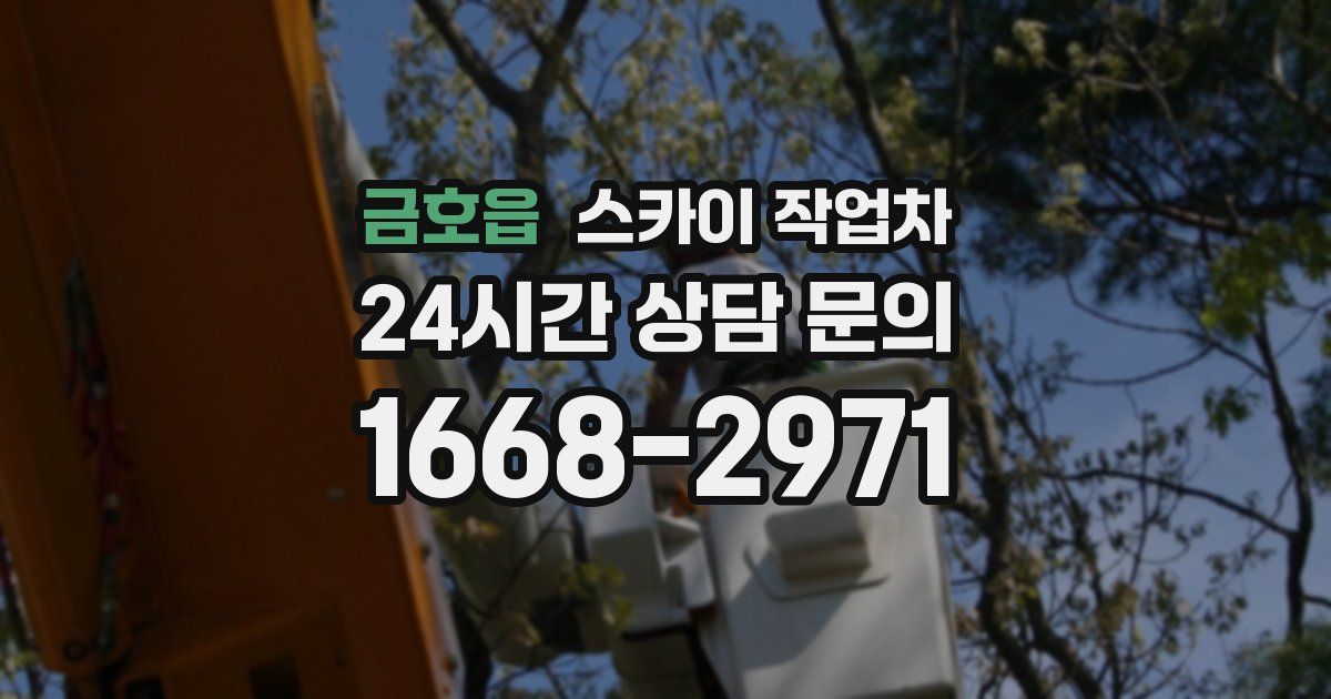 금호읍 스카이 작업차