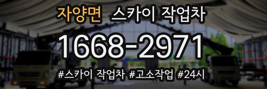 자양면 스카이 작업차