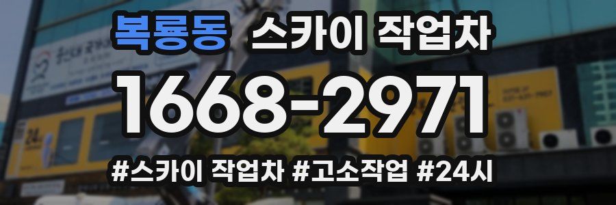 복룡동 스카이 작업차