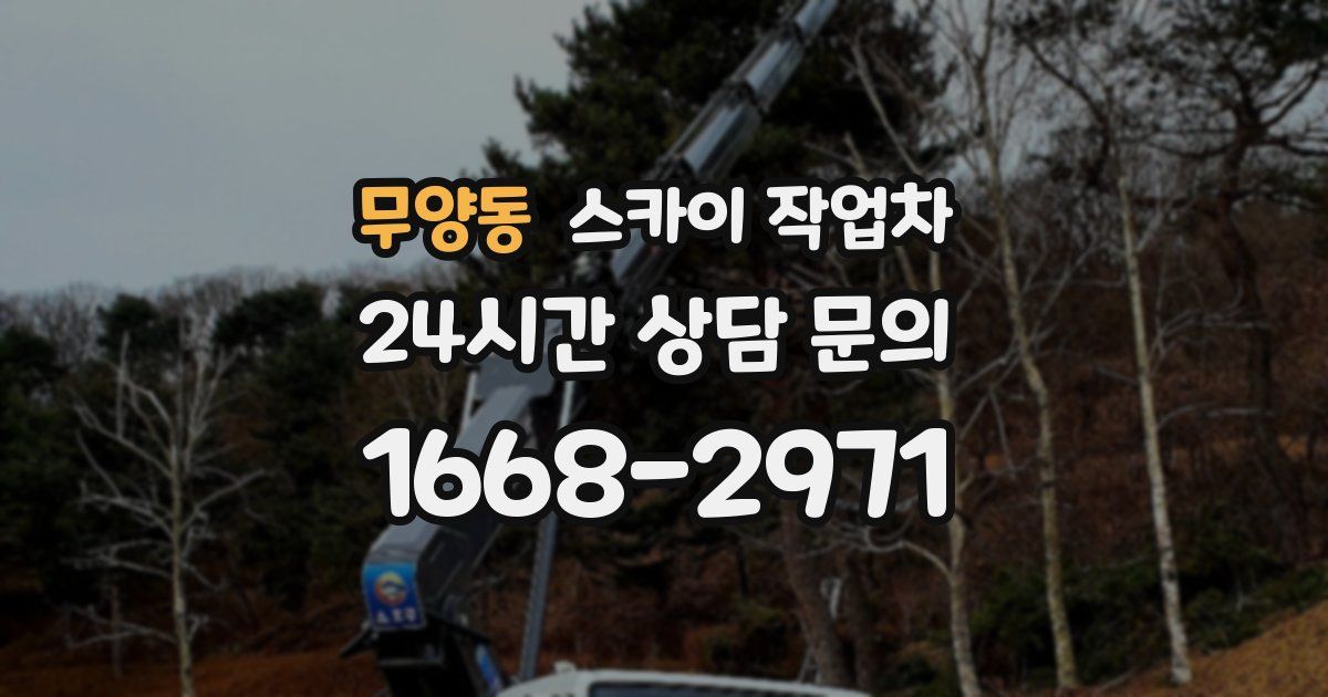 무양동 스카이 작업차
