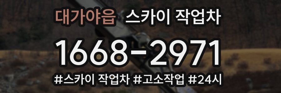 대가야읍 스카이 작업차