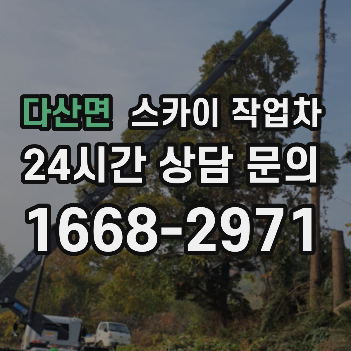 다산면 스카이 작업차