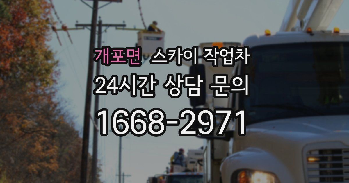 개포면 스카이 작업차