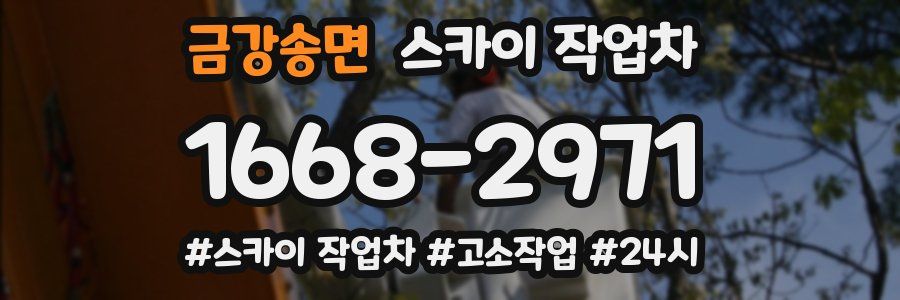 금강송면 스카이 작업차