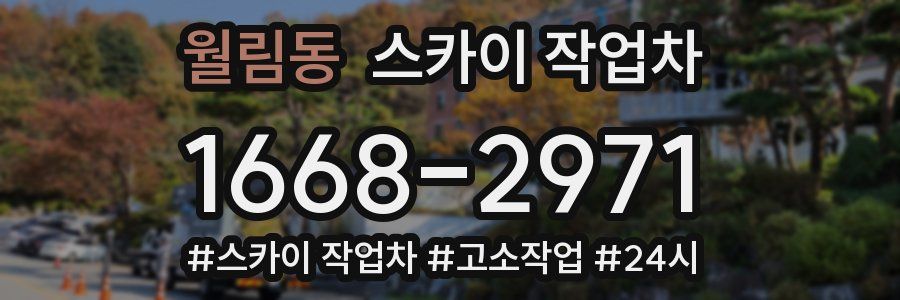 월림동 스카이 작업차