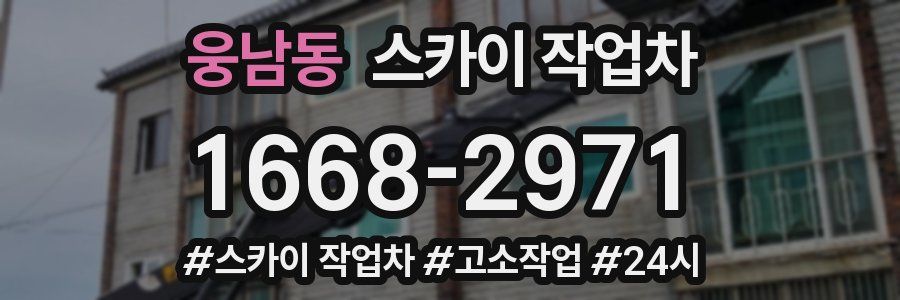 웅남동 스카이 작업차