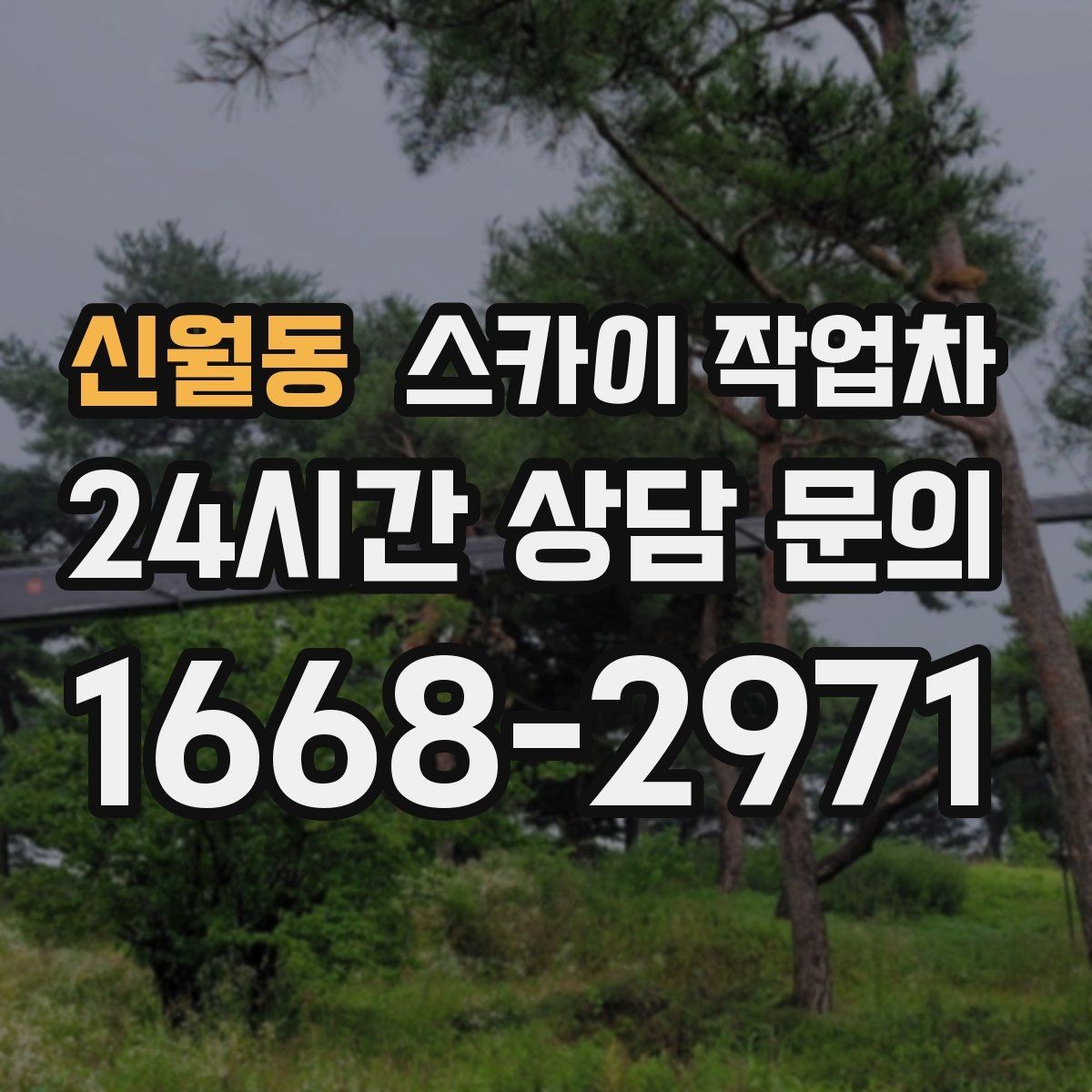 신월동 스카이 작업차 작업 비용이 달라지는 요소 쉽게 정리