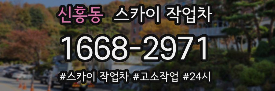 신흥동 스카이 작업차