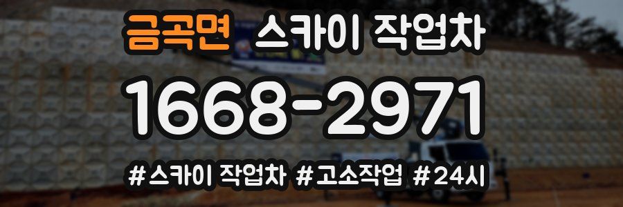 금곡면 스카이 작업차