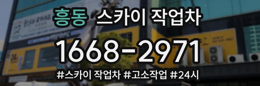 흥동 스카이 작업차