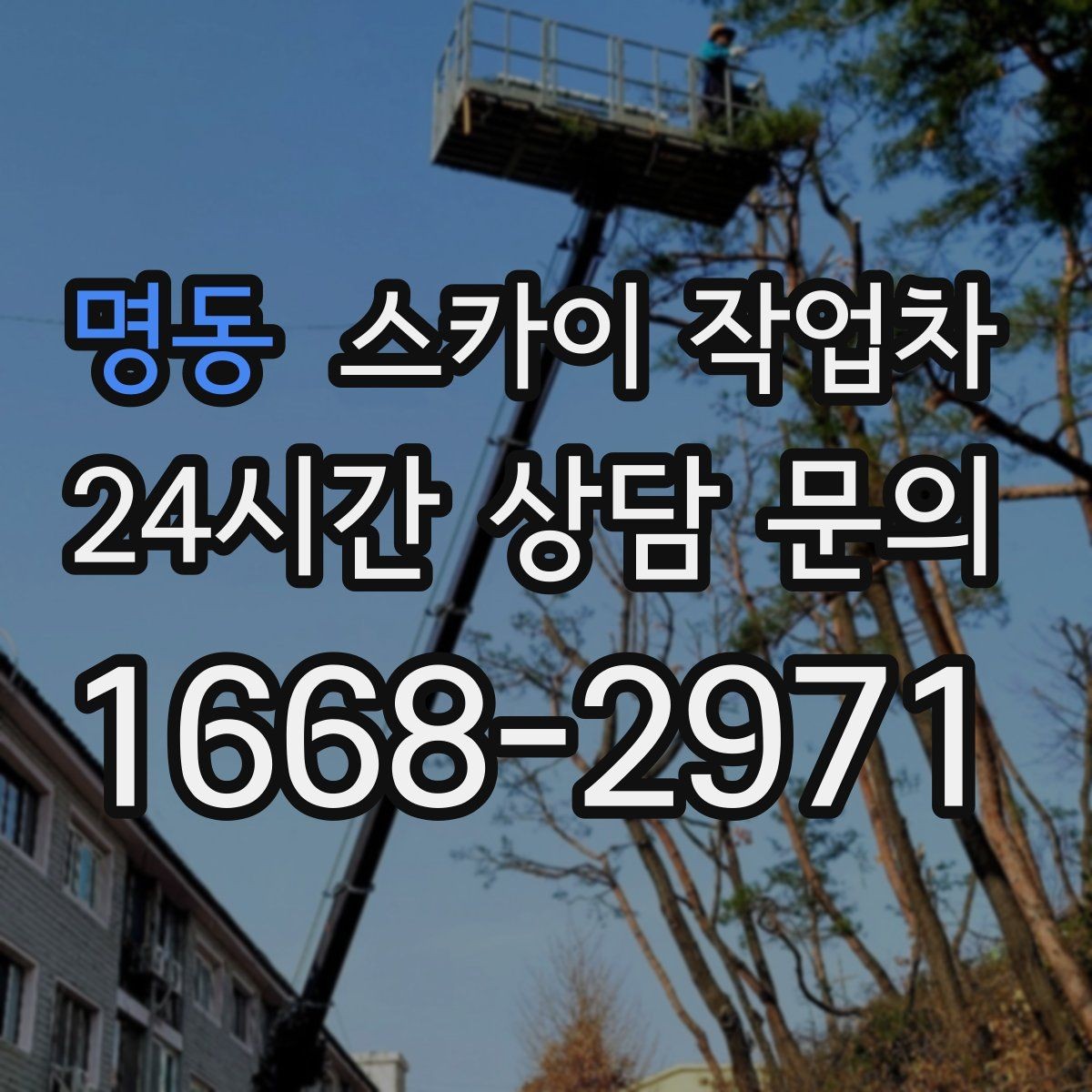 명동 스카이 작업차 당일 긴급 작업 요청 시 준비할 정보