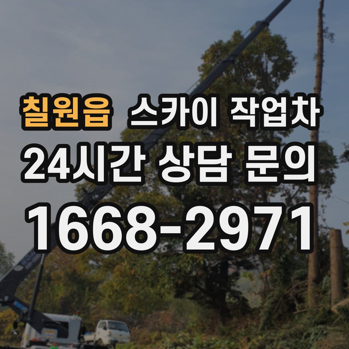 칠원읍 스카이 작업차