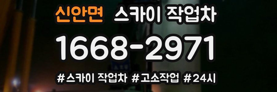 신안면 스카이 작업차