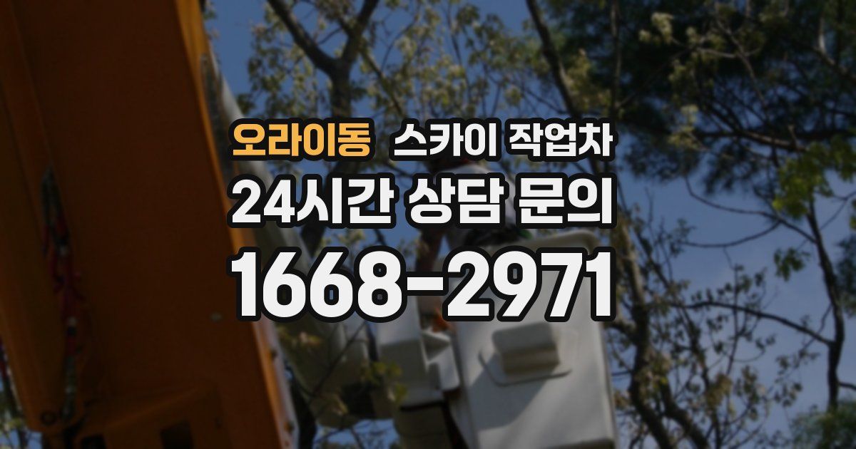 오라이동 스카이 작업차