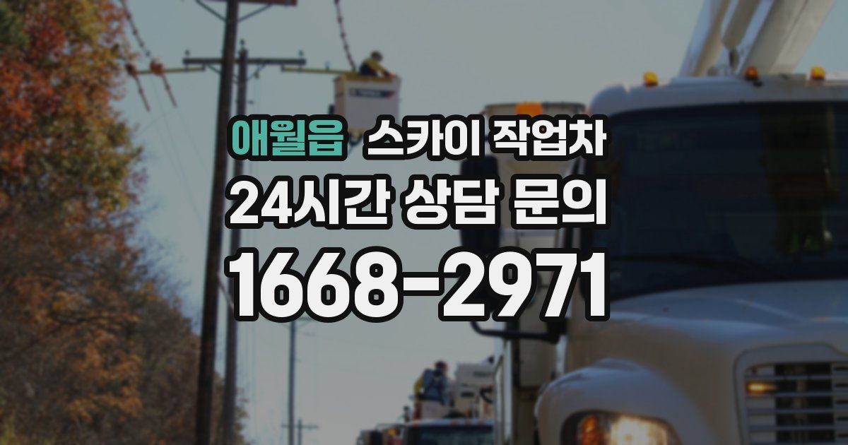 애월읍 스카이 작업차