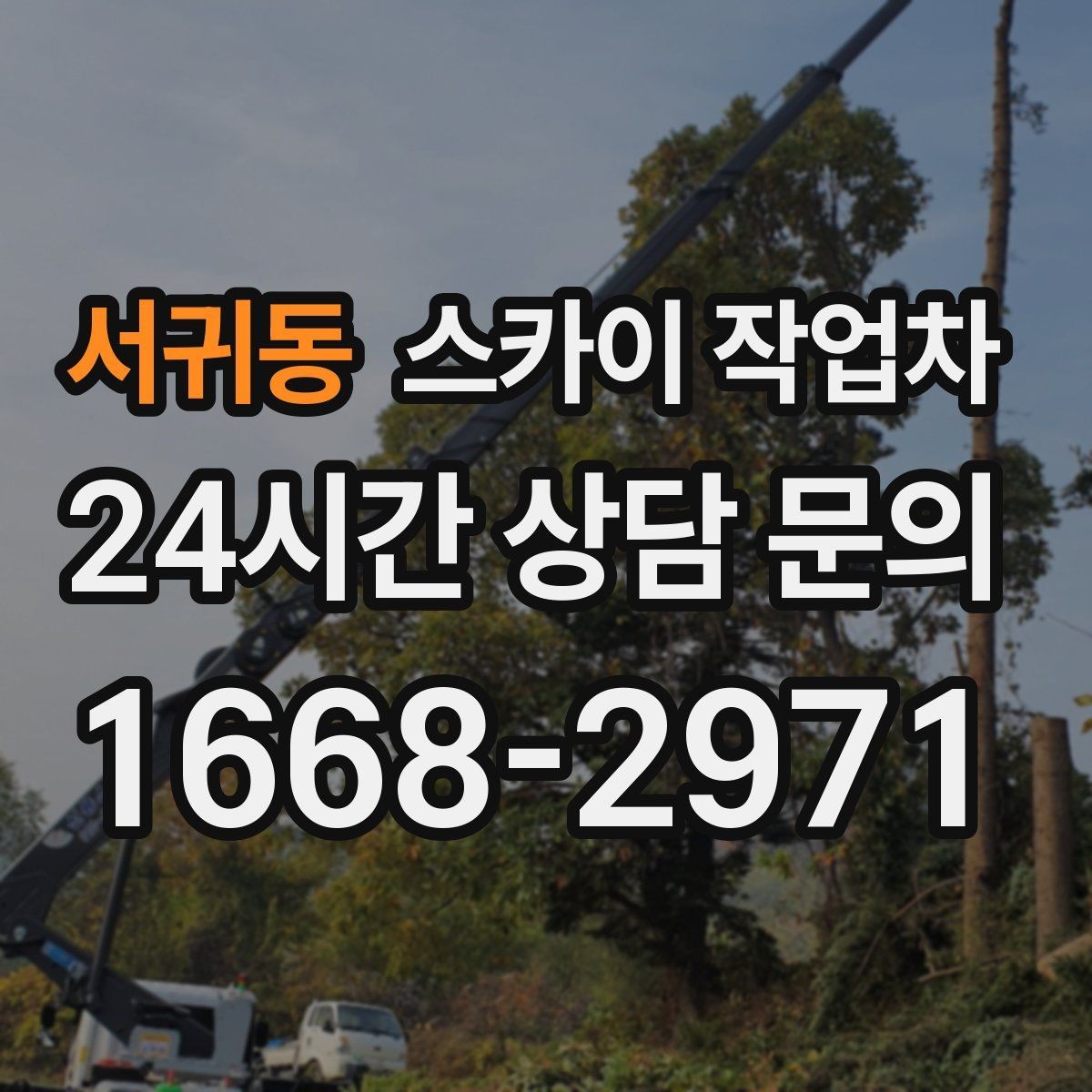 서귀동 스카이 작업차 외벽 조류 배설물 청소 작업 진행