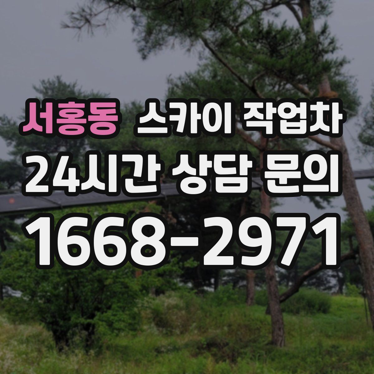 서홍동 스카이 작업차