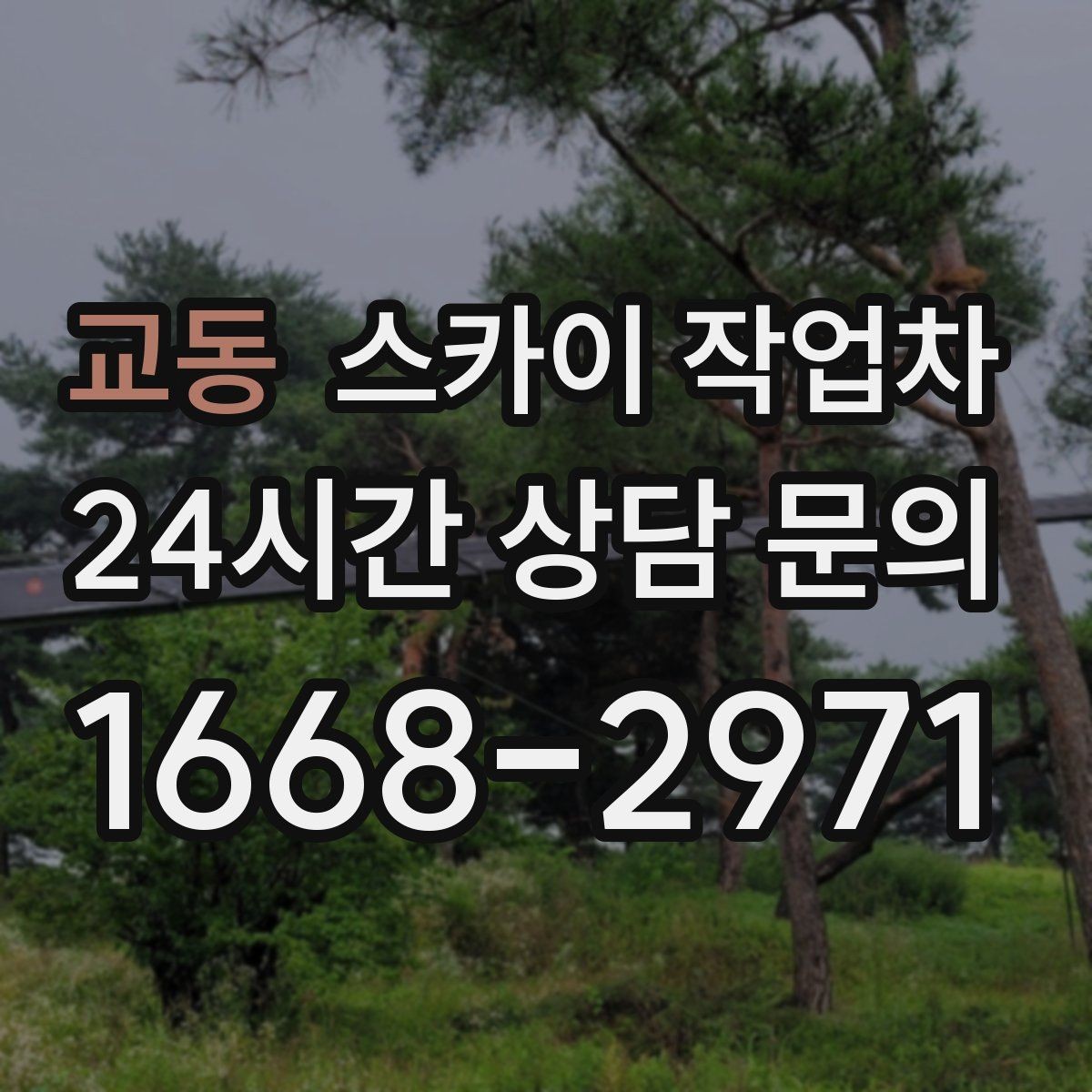 교동 스카이 작업차 태양광 패널 주변 점검이 필요할 때