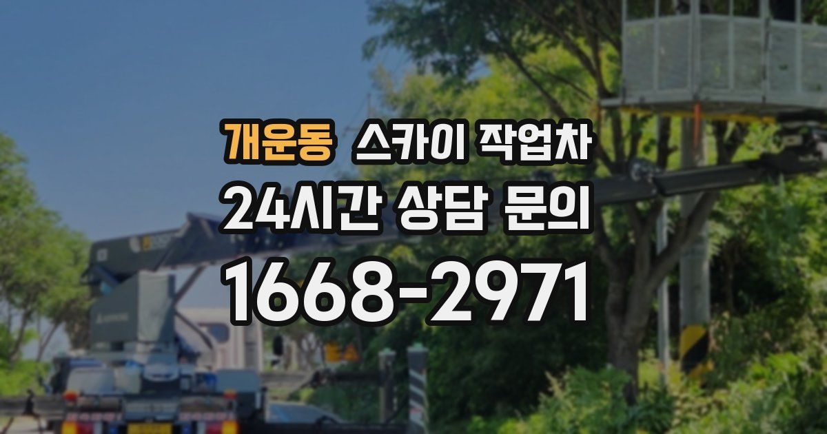 개운동 스카이 작업차