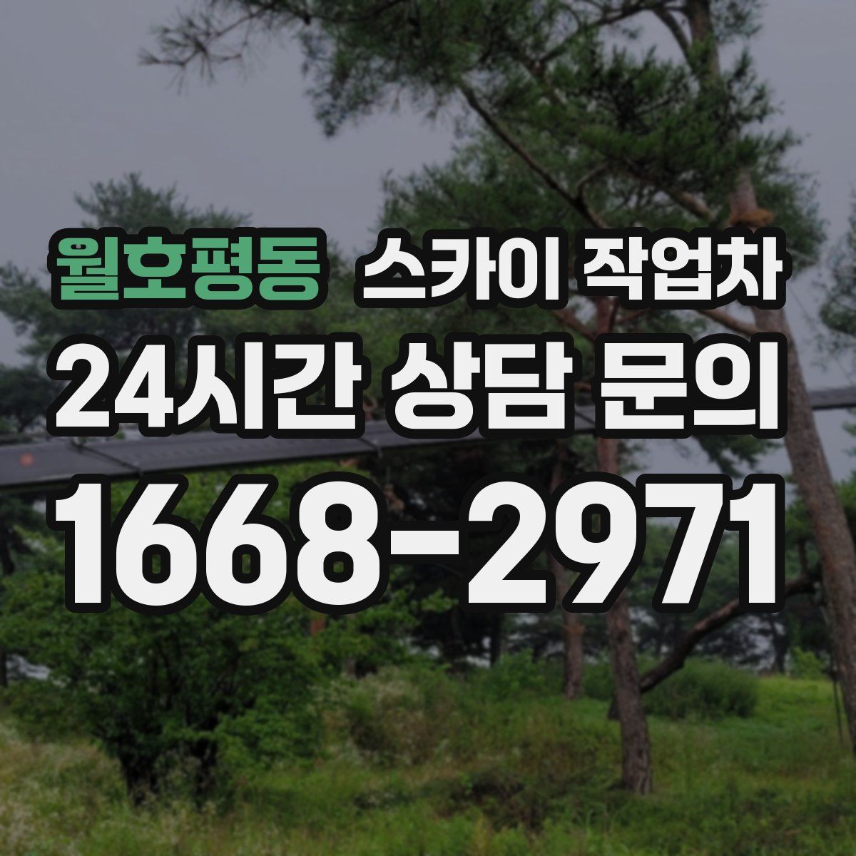 월호평동 스카이 작업차