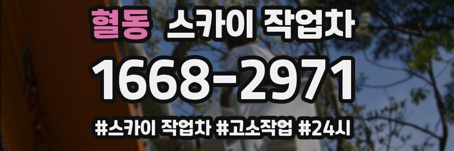 혈동 스카이 작업차