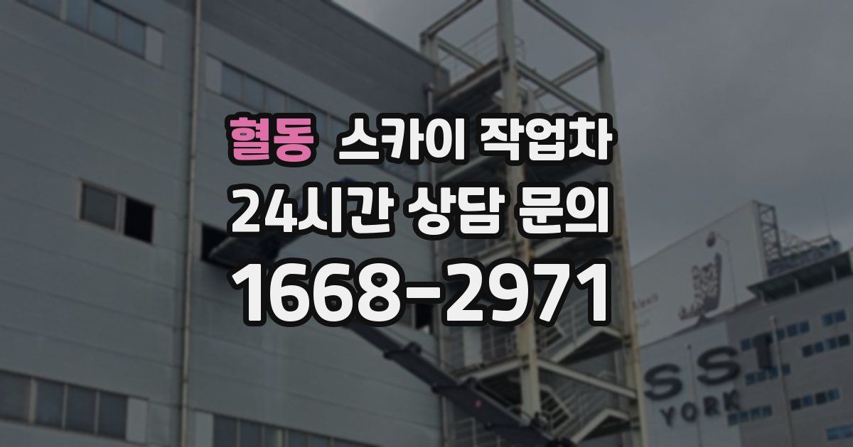 혈동 스카이 작업차