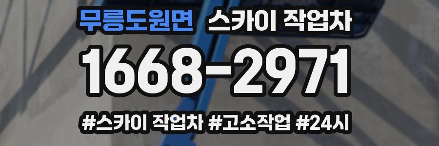 무릉도원면 스카이 작업차