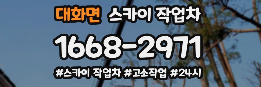 대화면 스카이 작업차