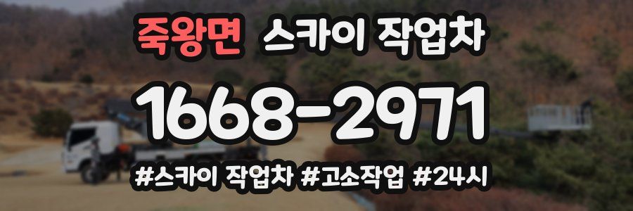 죽왕면 스카이 작업차