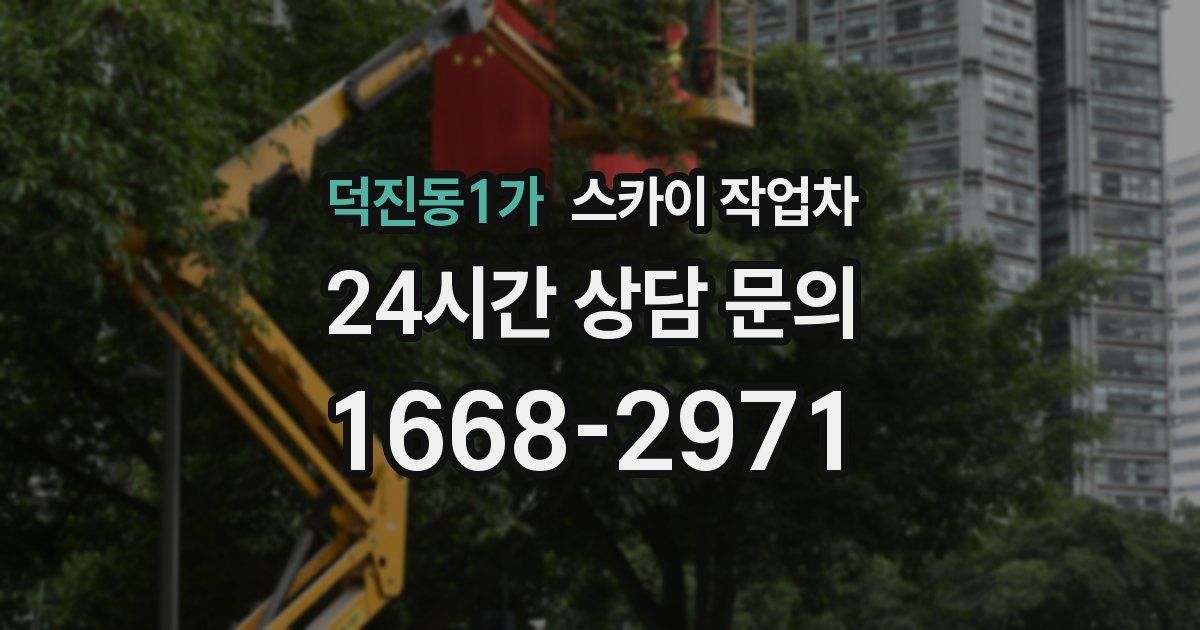 덕진동1가 스카이 작업차