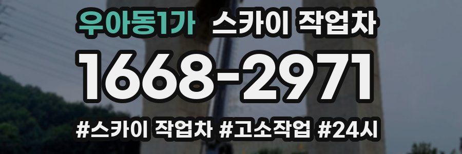 우아동1가 스카이 작업차