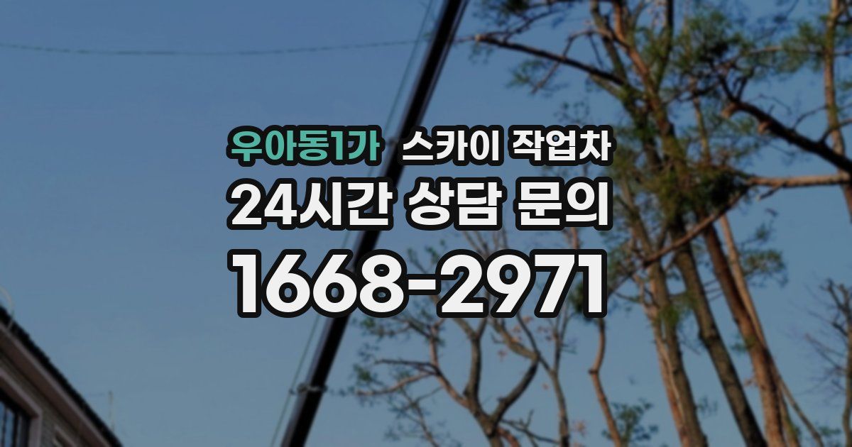 우아동1가 스카이 작업차