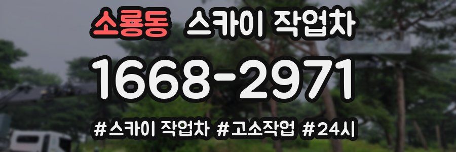 소룡동 스카이 작업차