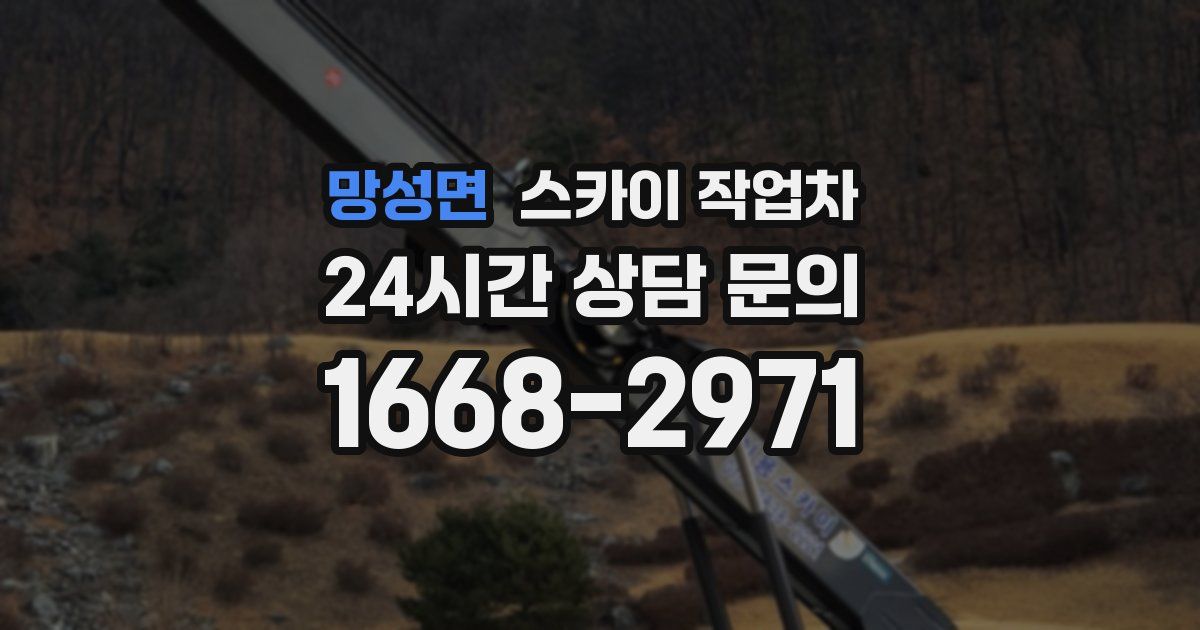 망성면 스카이 작업차