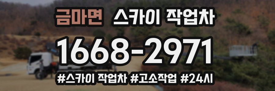 금마면 스카이 작업차