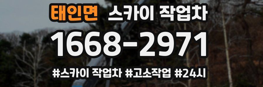 태인면 스카이 작업차