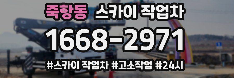 죽항동 스카이 작업차