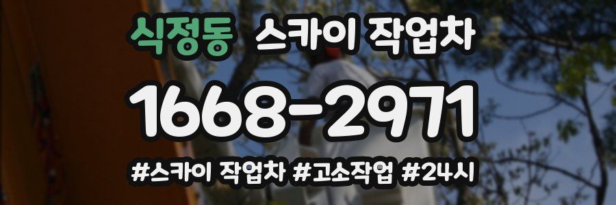 식정동 스카이 작업차
