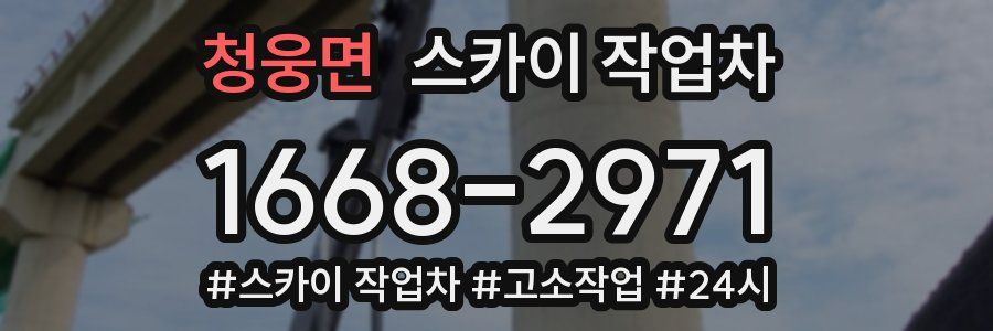 청웅면 스카이 작업차