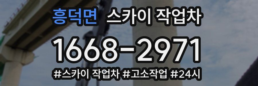 흥덕면 스카이 작업차