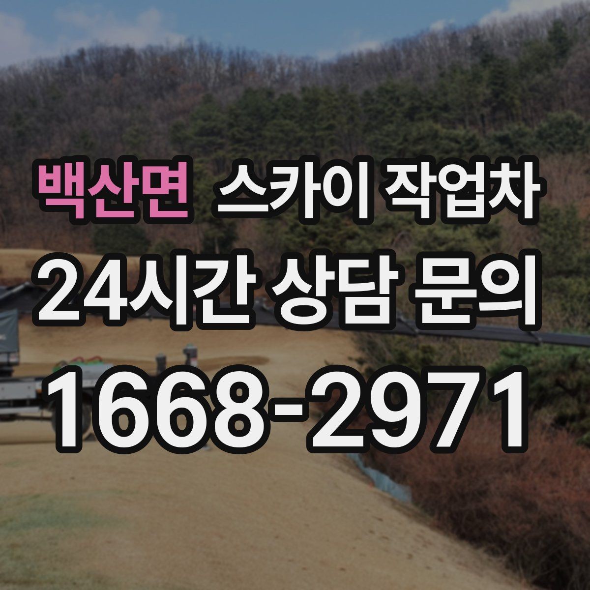 백산면 스카이 작업차 가로수 가지치기 작업 안전하게